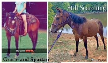 Gracie and Spartan